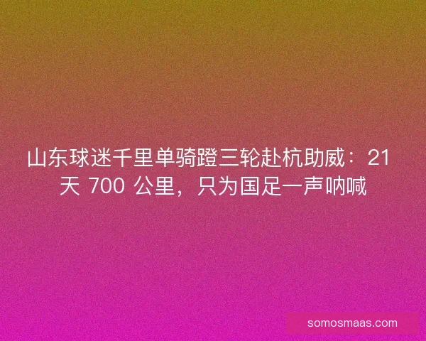 山东球迷千里单骑蹬三轮赴杭助威：21 天 700 公里，只为国足一声呐喊